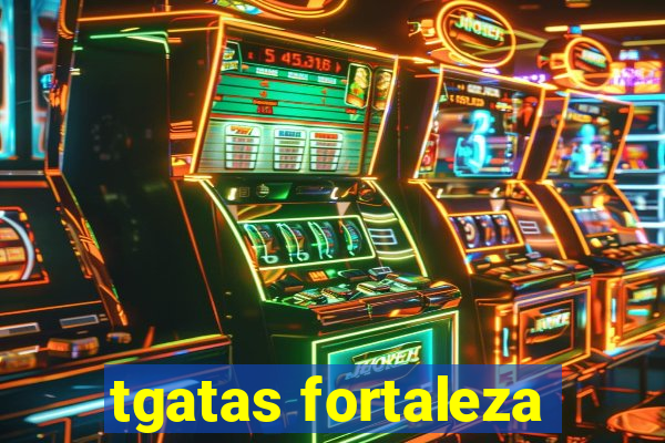tgatas fortaleza